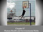 Chapter 17 Human Health and Environmental Risks