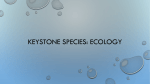 Keystone species: Ecology