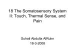 18 The Somatosensory System II: Touch, Thermal Sense, and Pain