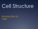 Intro to Cell Structure