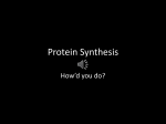 Protein Synthesis - Plano Science Tutor