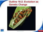 16-2 Evolution as Genetic Change