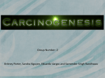 Environmental Carcinogenesis