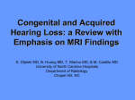 pediatric congenital sensironeural hearing loss