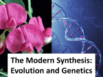 The Modern Synthesis: Evolution and Genetics