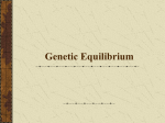 Genetic Equilibrium - Fall River Public Schools