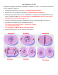 Telophase Interphase Anaphase Prophase Metaphase Cytokinesis