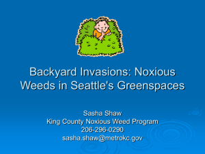 Seattle Invasive Weed Slide Show