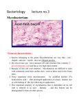 Mycobacterium tuberculosis