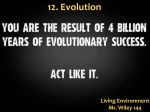 11. Evolution 2015
