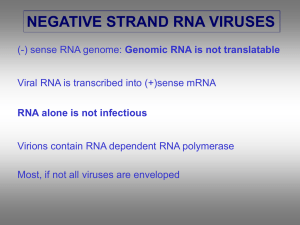 Negative sense RNA viruses – Hantavirus, influenza