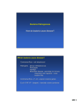 Bacterial Pathogenesis How do bacteria cause disease?
