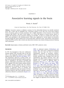 Associative learning signals in the brain