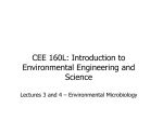 Environmental microbiology File