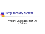 Integ System