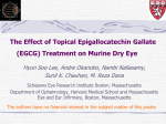 Effect of Topical Epigallocatechin Gallate to Treat Dry