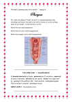 anatomy_lec22_8_5_2011