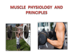 BUILDING MUSCLE SIZE AND STRENGTH