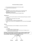 Organization of NS and the neuron File