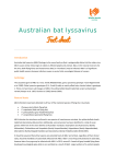 Australian Bat Lyssavirus Dec 2016
