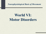Motor Disorders Sites of Damage in Nerve and Muscle Site Disorder