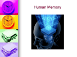Human Memory - Fort Bend ISD