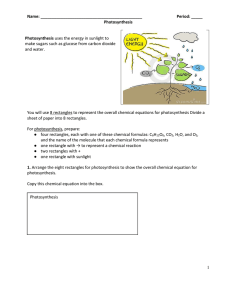 Photosynthesis Modeling Activity