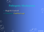 Pathogenic Mechanisms