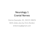 Neurology 1 Cranial Nerves