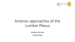 Lumbar Plexus Blocks-the anterior approaches