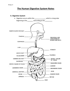 chapter-9-digestive-system-student-notes