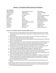 Chapter 17: Transcription, RNA Processing, and Translation