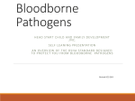 Bloodborne Pathogens - Head Start Child and Family Development