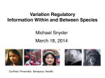 Variation in Regulatory Information Within and Between Species