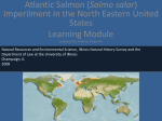 Atlantic Salmon (Salmo salar) imperilment in North Eastern North