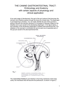 caninegastrointesttract