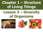 Lesson 3 - Diversity of Organisms