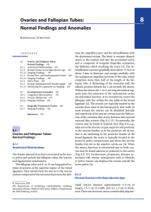 Ovaries and Fallopian Tubes: Normal Findings and Anomalies