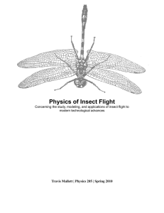Physics of Insect Flight