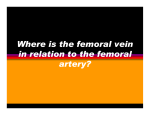 Where is the femoral vein in relation to the femoral artery?