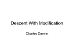 Descent With Modification