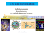Life and Information - Heinz Lycklama`s Website