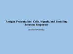 Antigen Presentation Lecture