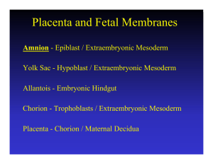 Placenta and Fetal Membranes