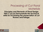 Lesson 06e Processing Cut Floral Materials PPT