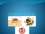 Antimalarial Drugs Malaria