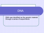 History of Dna Powerpoint