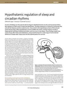 Hypothalamic regulation of sleep and circadian rhythms