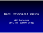 Renal Perfusion and Filtration