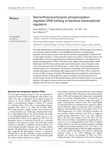 Serine/threonine/tyrosine phosphorylation regulates